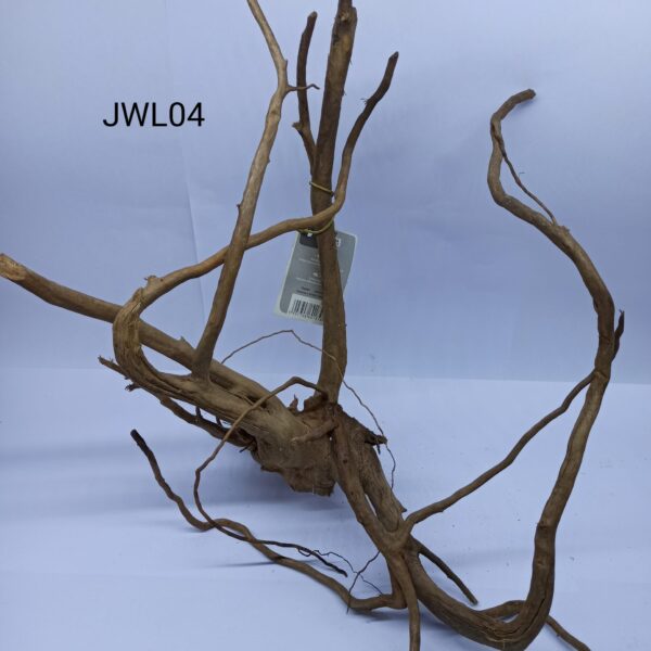 Radacina Finger Wood unicata JWL04