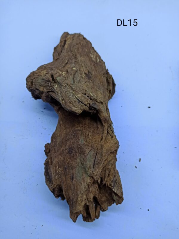 Radacina unicata Drift Wood DL15 23-29cm